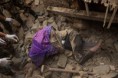 /album/fotogalerie-pro-otrle1/telo-bhaktapur-jpg/